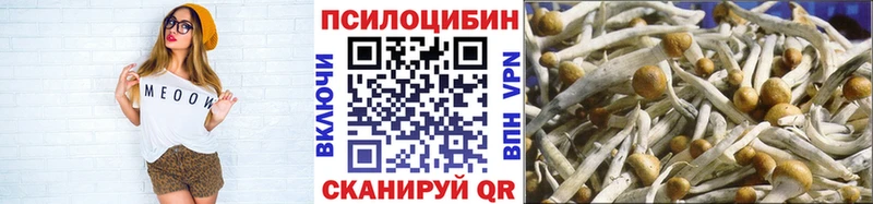 купить  сайты  OMG маркетплейс  Псилоцибиновые грибы прущие грибы  Кинешма 